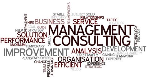 Management Consultant Career