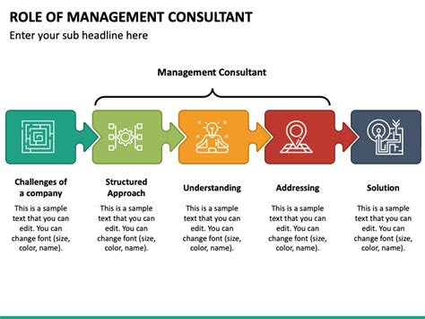 Management Consultant Role