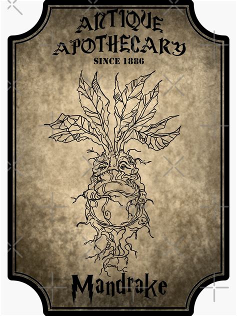 Mandrake apothecary labels