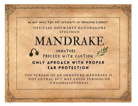 Mandrake magical plant label