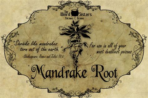 Mandrake notebook labels