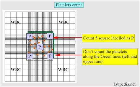 Manual Column Counting in Excel