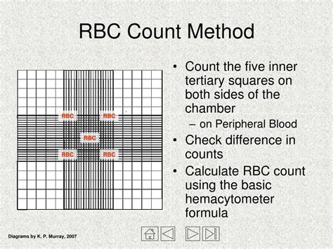 Manual Counting for Small Datasets