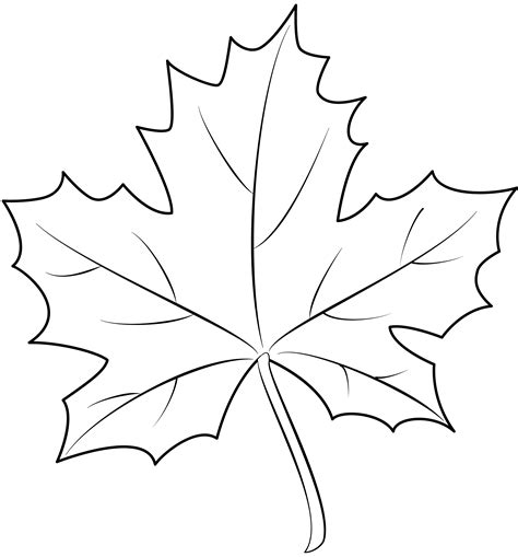 Maple Leaf Template for Coloring