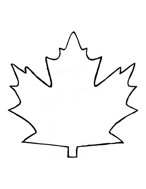 Maple Leaf Template for Coloring Pages