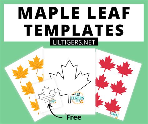 Maple Leaf Template for Party Decorations