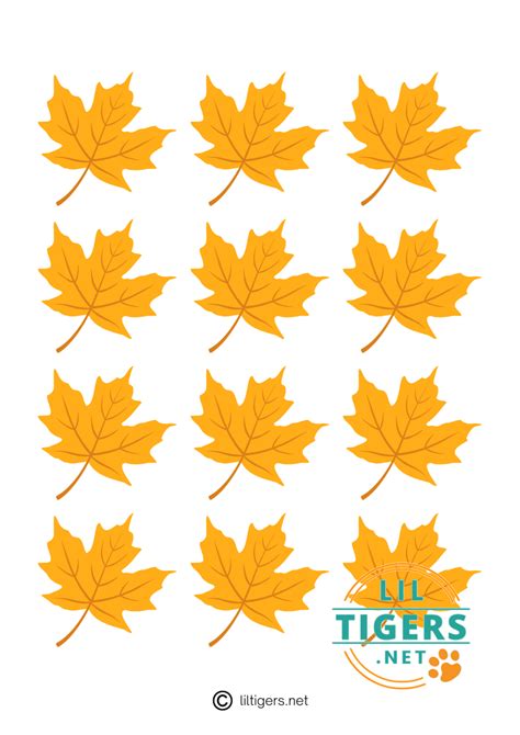 Maple Leaf Template for Wedding Decorations