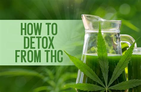 Marijuana Detox Process