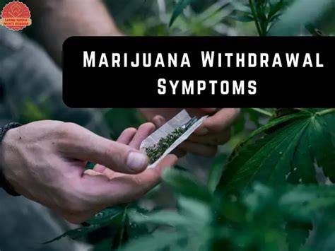 Marijuana Detox Symptoms