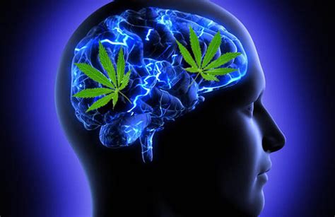 Marijuana for headaches