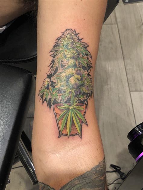 Marijuana Plant Tattoo Design