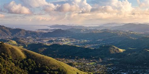 Marin County Landscape