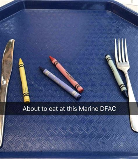 Marine animals eating crayons