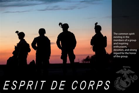 Marine Camaraderie and Esprit de Corps