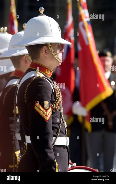 Marine performing ceremonial duty