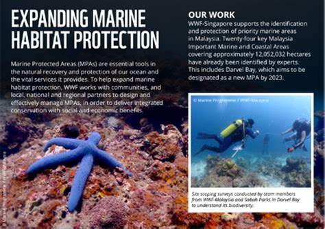 Marine Conservation