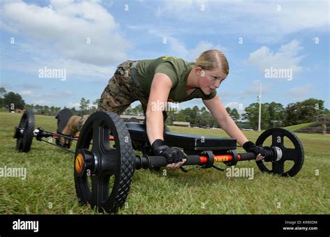 Marine Corps Cardiovascular Endurance