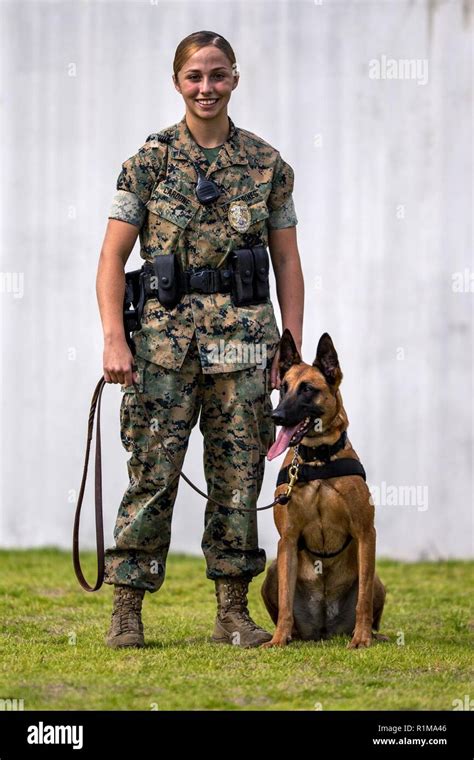 Marine Corps dog handlers serving