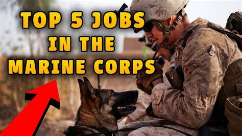 Marine Corps Jobs Image 5