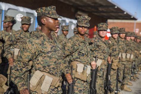 Marine Corps Logistics Officer in supply chain management