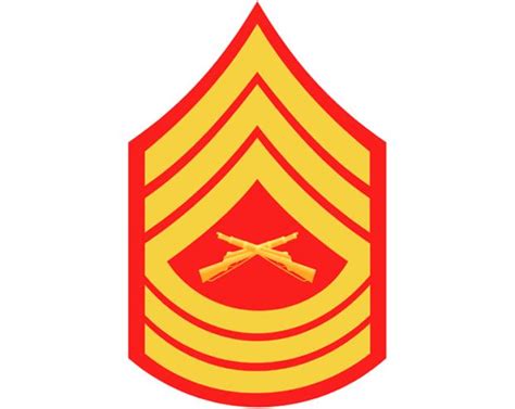 Master Sergeant Insignia