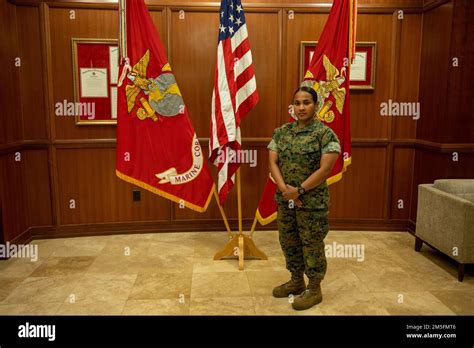 Marine Corps Reserve career opportunities