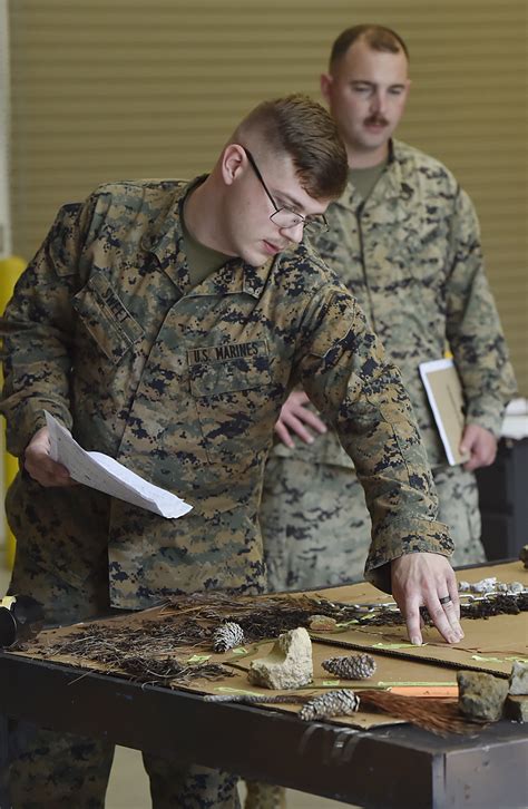 Marine Corps Reserve skills training