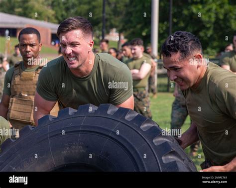 Marine Corps Warrant Officer Camaraderie