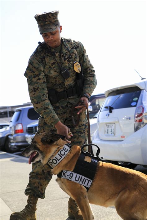 Marine dog handler team in action