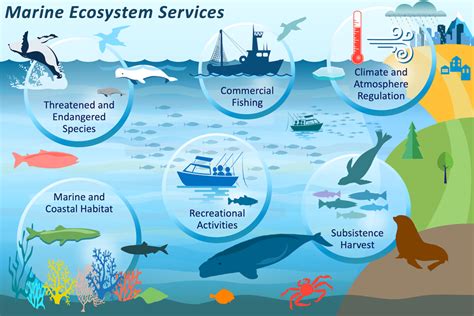 Marine Ecosystems