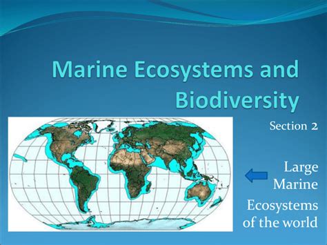 Marine Ecosystems and Biodiversity