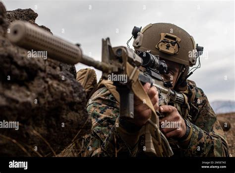 Marine Ground Intelligence Officer analyzing data