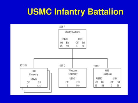 Marine Infantry Organization