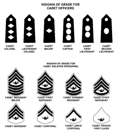 Marine Jrotc Rank Structure