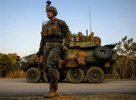 Marine Light Armored Reconnaissance Teams Conducting Reconnaissance