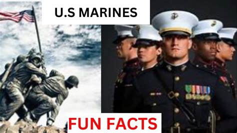 Marine Navy Facts