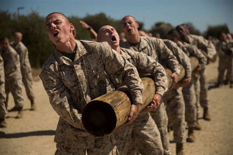 Marine Recruit Training Image 3