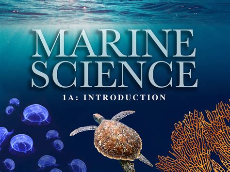 Marine Research Image