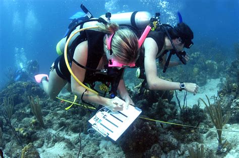 Marine Research Careers