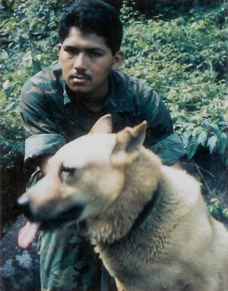 Marine sentry dog on patrol