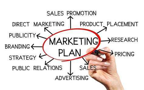 Marketing Plan Creation