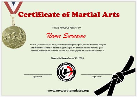 Martial Arts Certificate Template Design 7