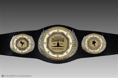 Martial Arts Championship Belt Design