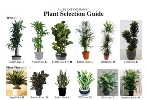 Materials and Plant Selection