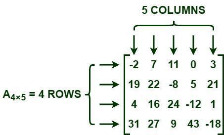 Matrix Examples