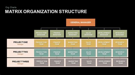 Matrix Organization Structure PPT Template