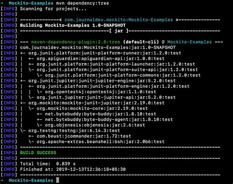 Maven Dependency Conflicts