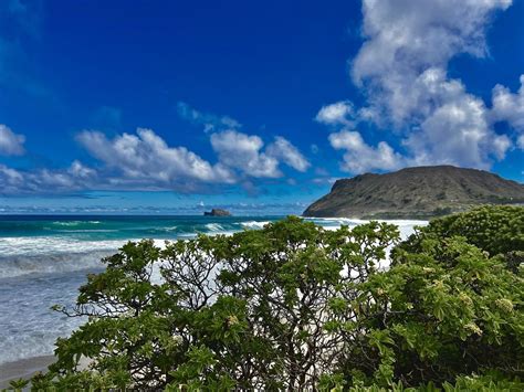 MCBH Kaneohe Bay Contact