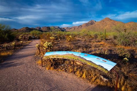 McDowell Sonoran Preserve Hiking Trails