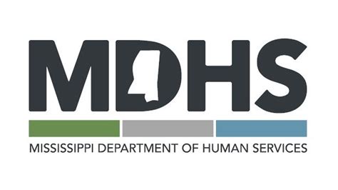 A screenshot of the MDHS website